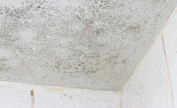 Mold Remediation by MRC Restoration, LLC