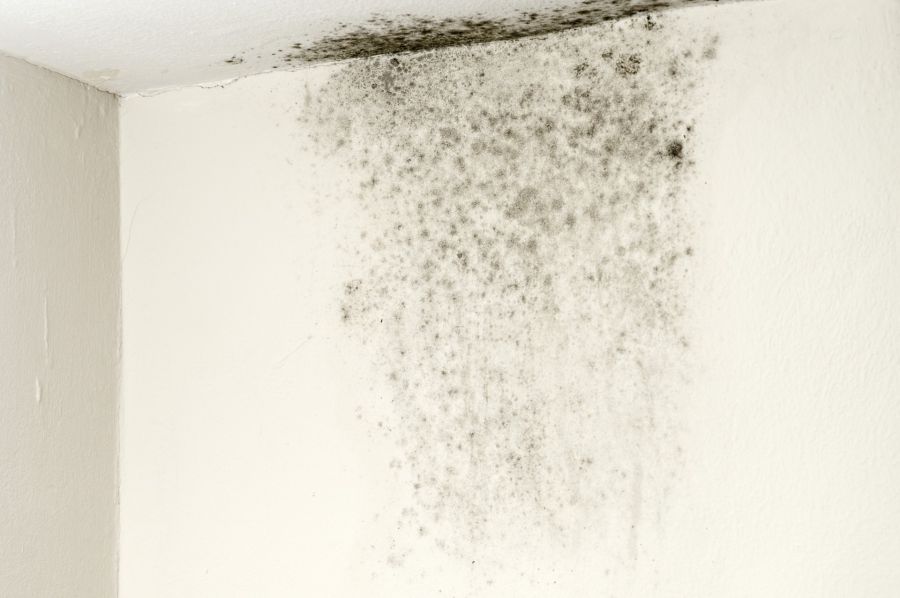 Mold Remediation by MRC Restoration, LLC